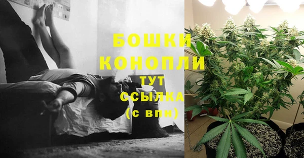 трава Алексеевка