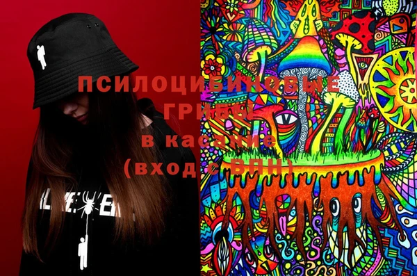 стаф Волоколамск